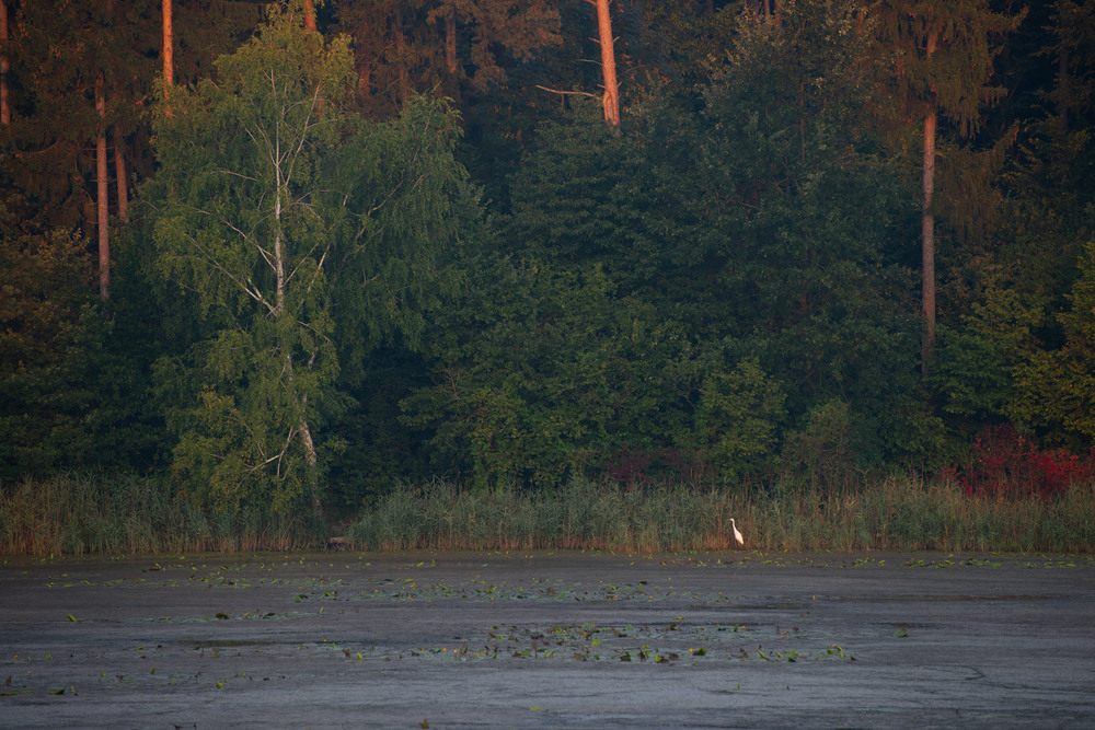 Фотографія ..... / Микола Шахманцір / photographers.ua