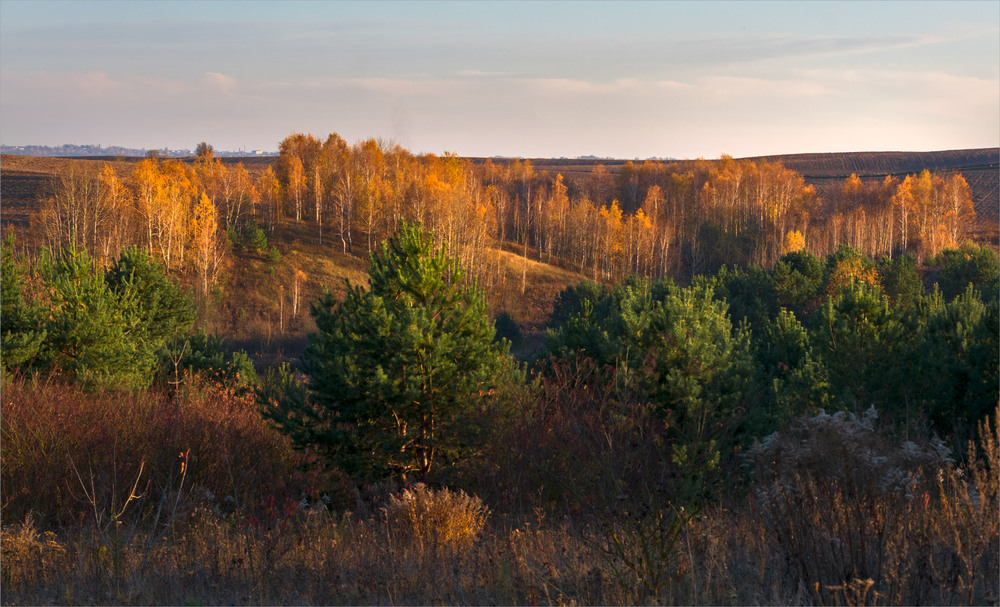 Фотографія .... / Микола Шахманцір / photographers.ua