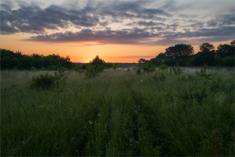 Фотографія *** / Микола Шахманцір / photographers.ua