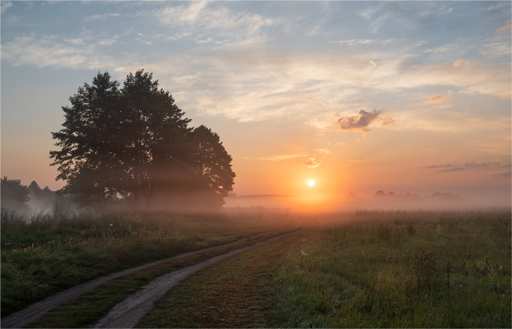 Фотографія * * * / Микола Шахманцір / photographers.ua