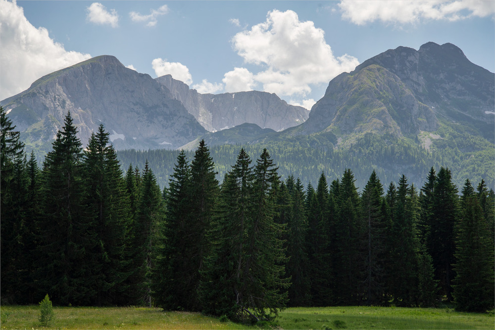 Фотографія 6 / Микола Шахманцір / photographers.ua