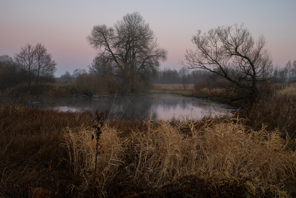 Фотографія *** / Микола Шахманцір / photographers.ua