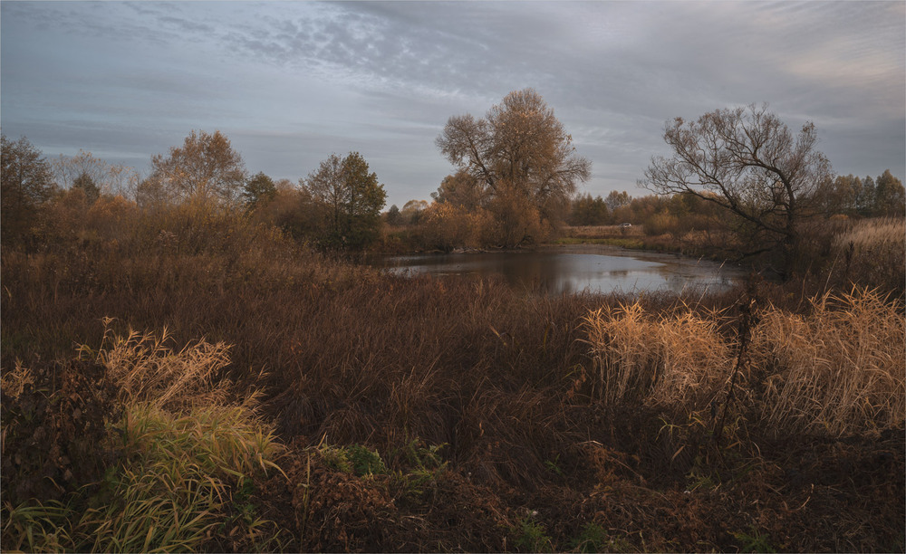 Фотографія осінній мінор... / Микола Шахманцір / photographers.ua