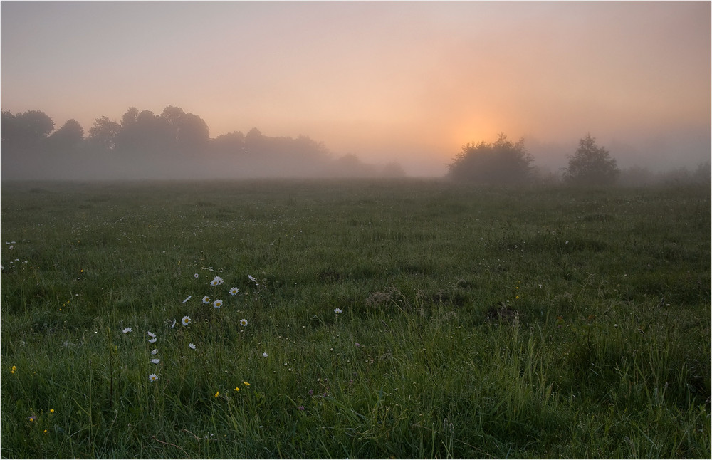Фотографія коли просинаеться ранок... / Микола Шахманцір / photographers.ua