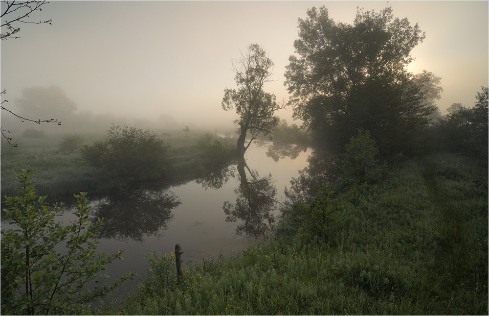 Фотографія туманним ранком біля річки / Микола Шахманцір / photographers.ua