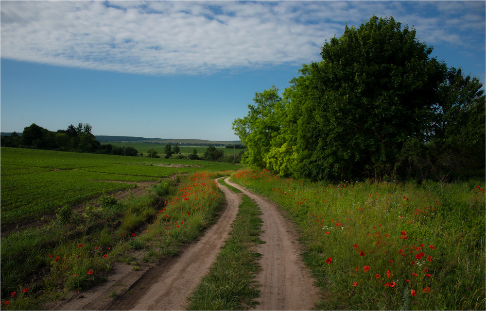 Фотографія * * * / Микола Шахманцір / photographers.ua