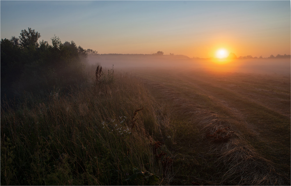 Фотографія * * * / Микола Шахманцір / photographers.ua