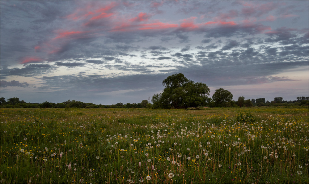 Фотографія * * * / Микола Шахманцір / photographers.ua