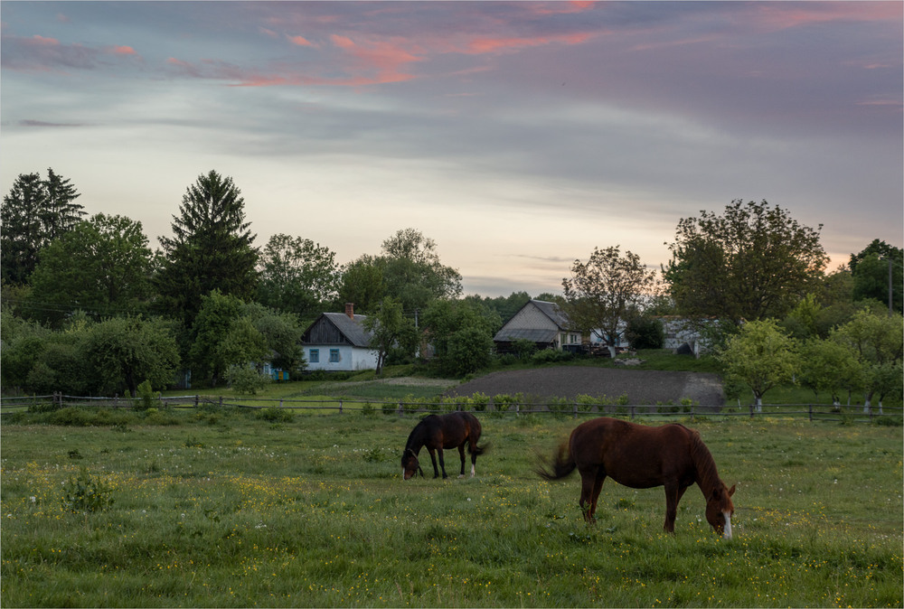 Фотографія ...садок вишневий коло хати... / Микола Шахманцір / photographers.ua
