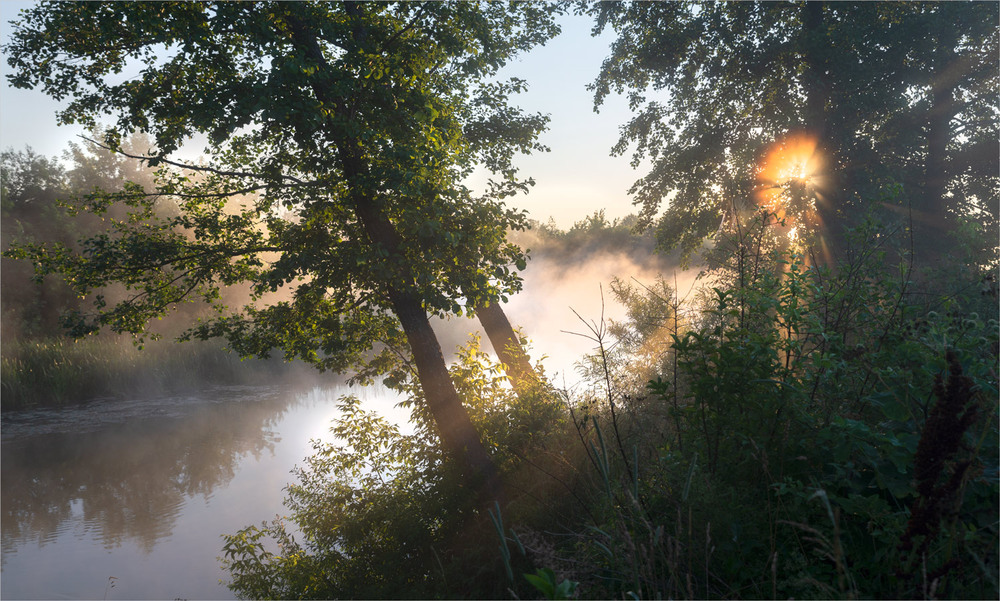 Фотографія *** / Микола Шахманцір / photographers.ua