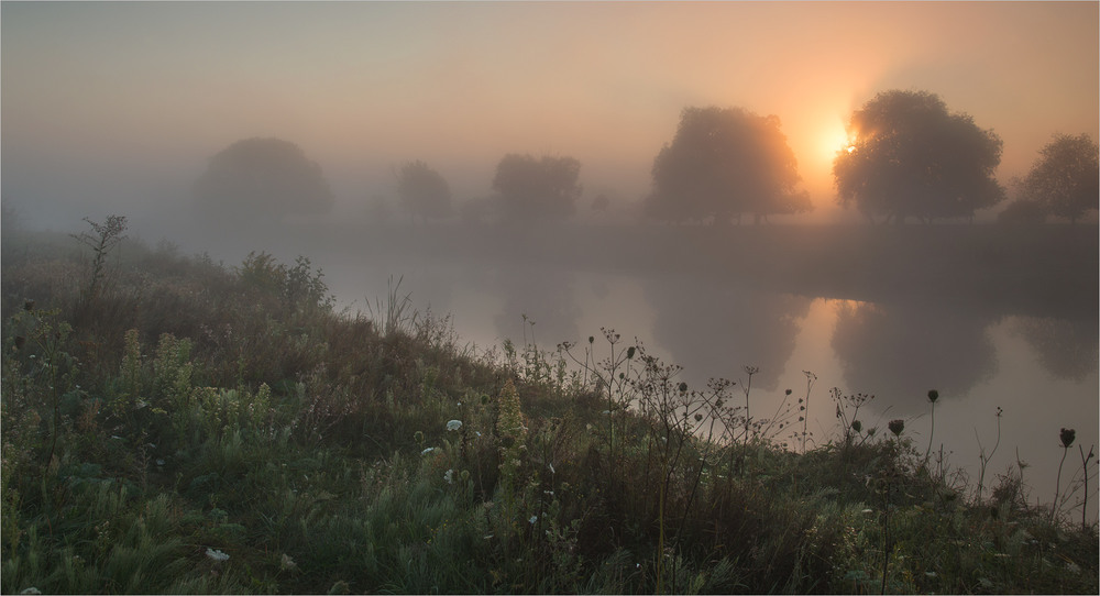 Фотографія серпневим  ранком... / Микола Шахманцір / photographers.ua