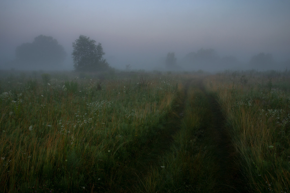 Фотографія * * * / Микола Шахманцір / photographers.ua
