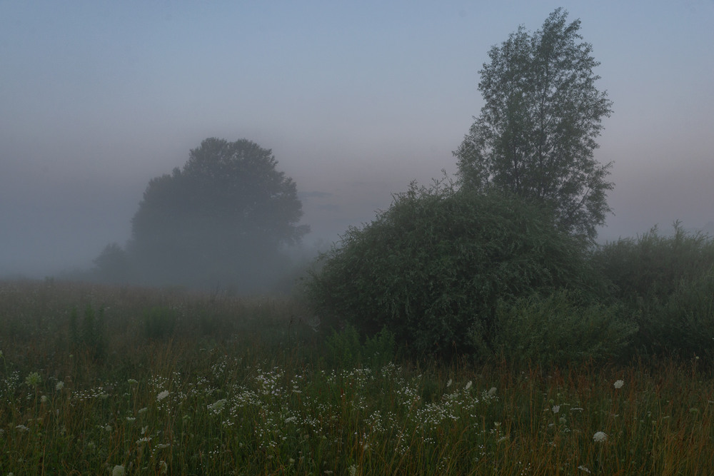 Фотографія * * * / Микола Шахманцір / photographers.ua