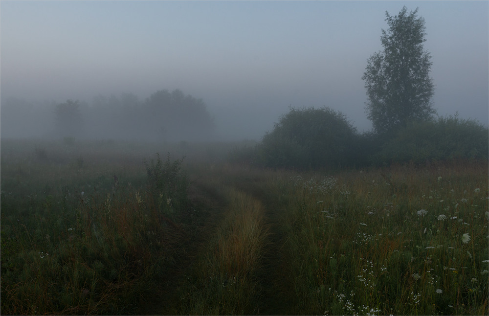 Фотографія * * * / Микола Шахманцір / photographers.ua