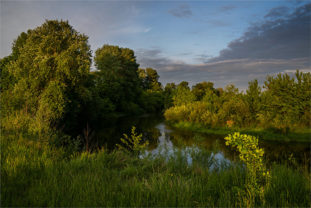 Фотографія *** / Микола Шахманцір / photographers.ua