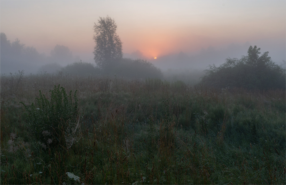 Фотографія * * * / Микола Шахманцір / photographers.ua