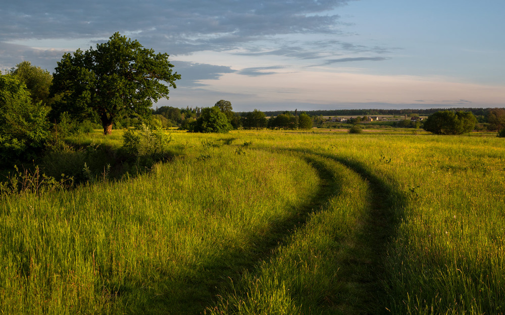 Фотографія * * * / Микола Шахманцір / photographers.ua