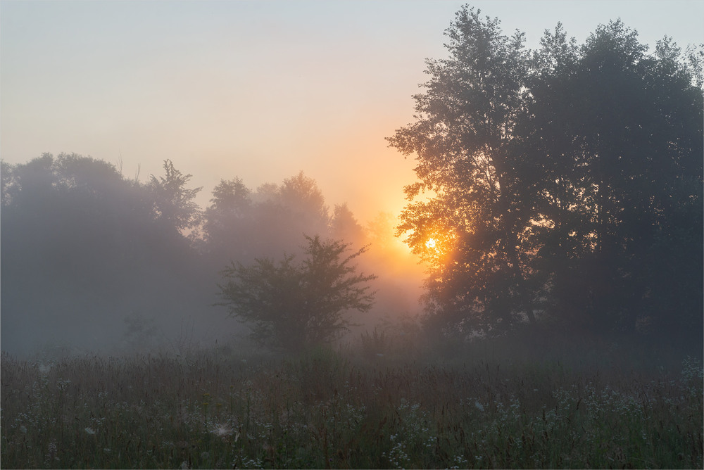 Фотографія *** / Микола Шахманцір / photographers.ua