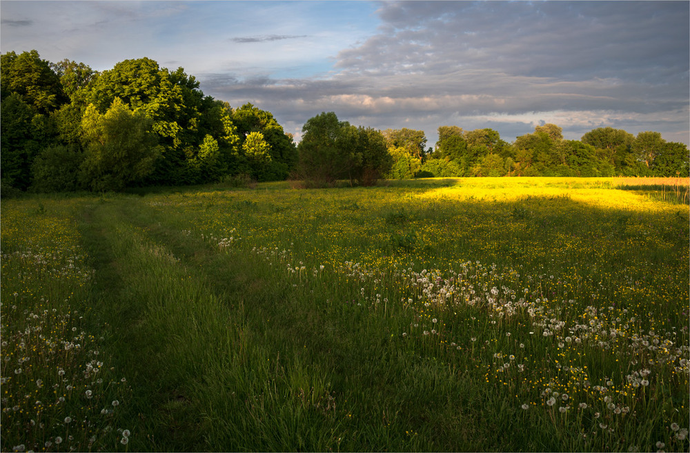 Фотографія * *  * / Микола Шахманцір / photographers.ua