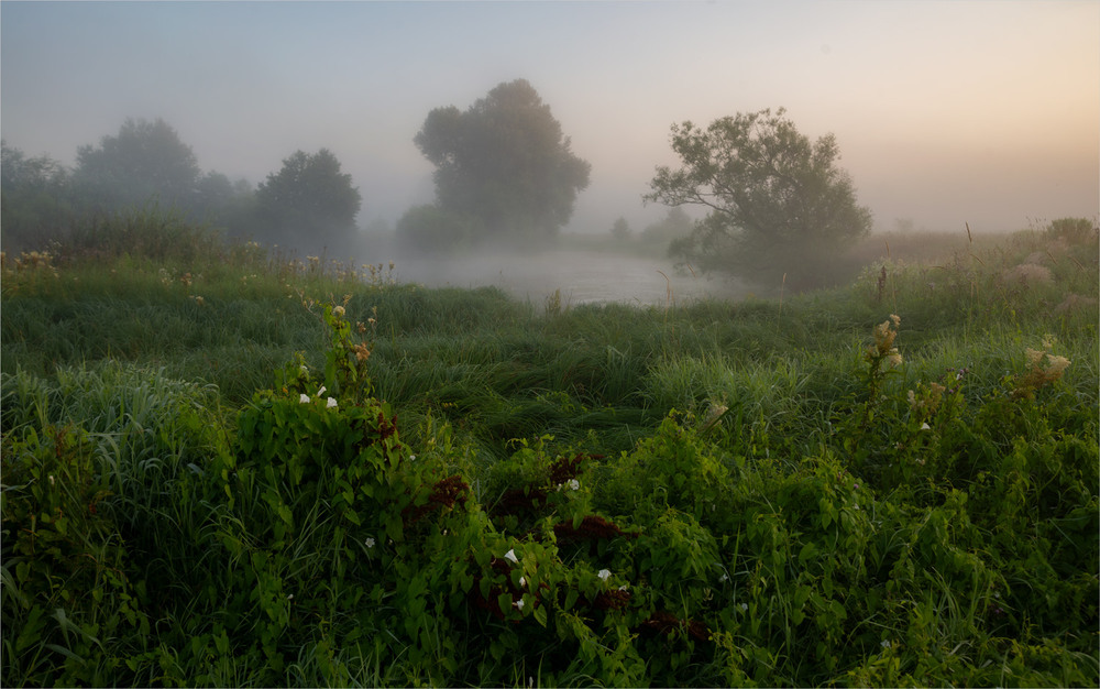 Фотографія *** / Микола Шахманцір / photographers.ua