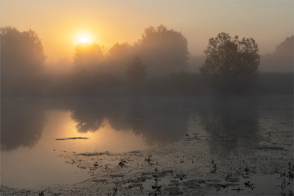 Фотографія .... / Микола Шахманцір / photographers.ua