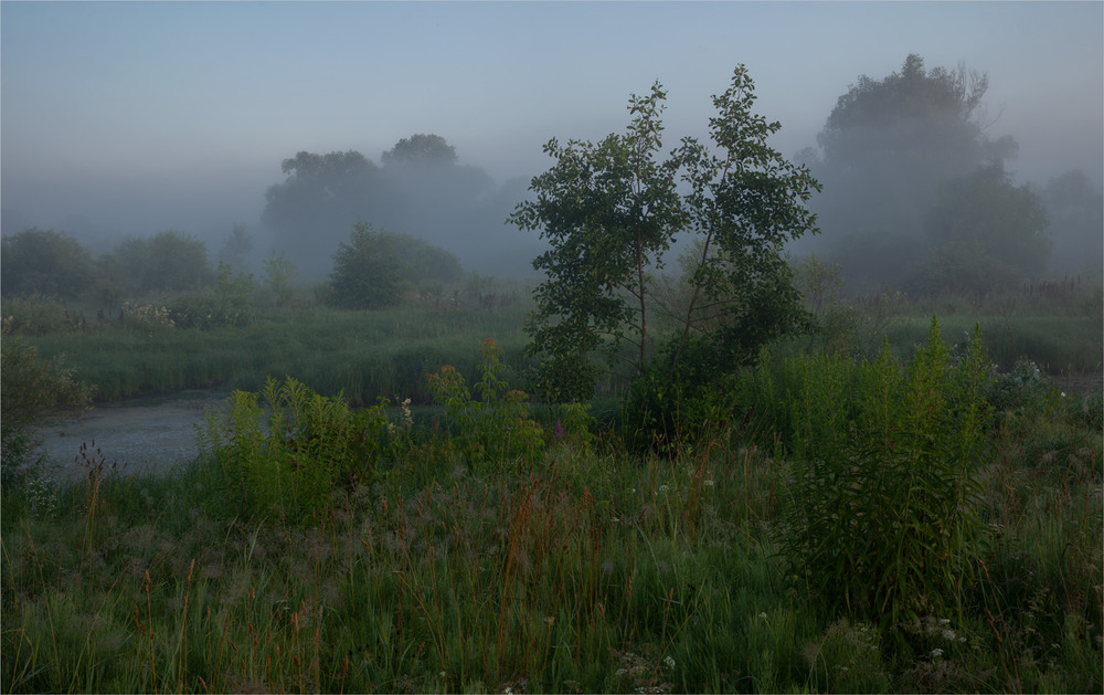 Фотографія .... / Микола Шахманцір / photographers.ua