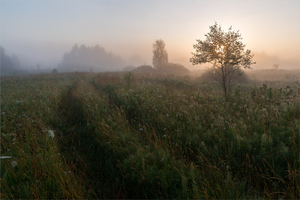 Фотографія ... / Микола Шахманцір / photographers.ua