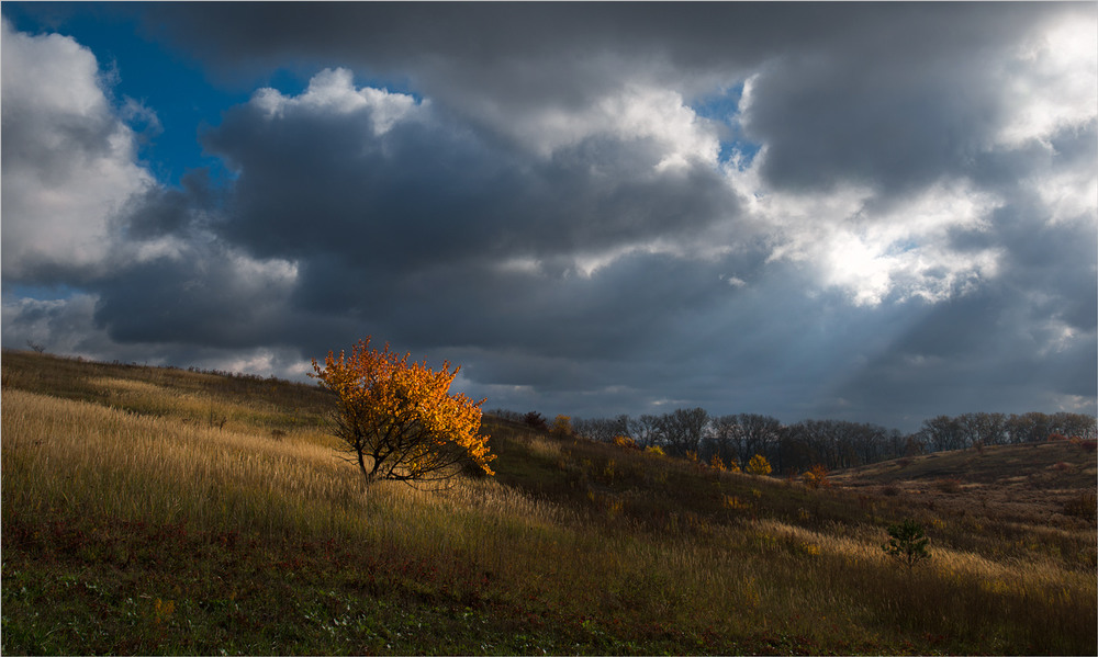 Фотографія осінь за містом / Микола Шахманцір / photographers.ua