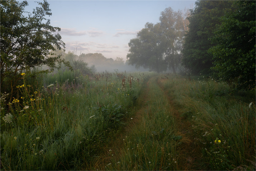 Фотографія ... / Микола Шахманцір / photographers.ua