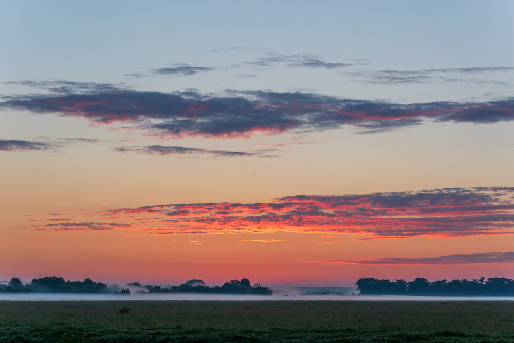 Фотографія *** / Микола Шахманцір / photographers.ua