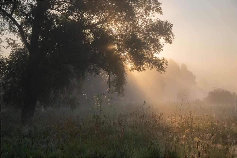 Фотографія ... / Микола Шахманцір / photographers.ua
