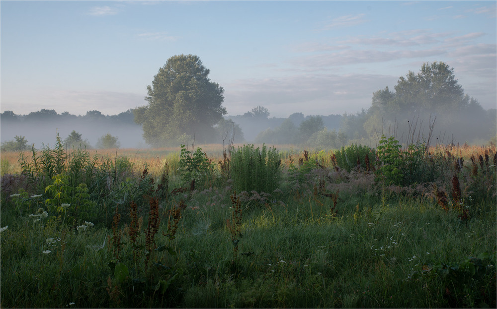 Фотографія ... / Микола Шахманцір / photographers.ua