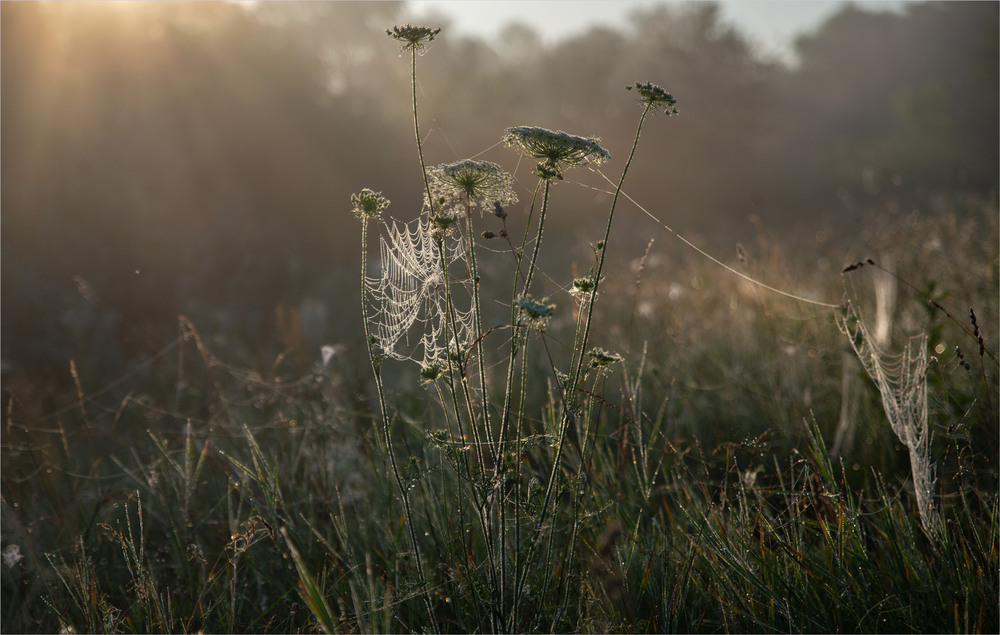 Фотографія ... / Микола Шахманцір / photographers.ua