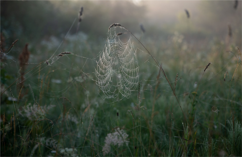Фотографія ... / Микола Шахманцір / photographers.ua