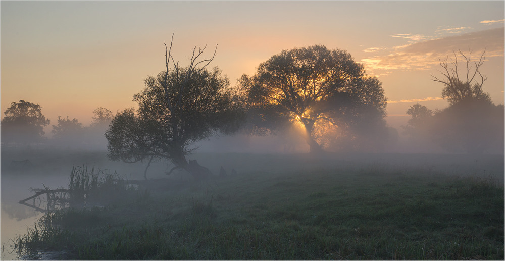 Фотографія серпневим  ранком... / Микола Шахманцір / photographers.ua