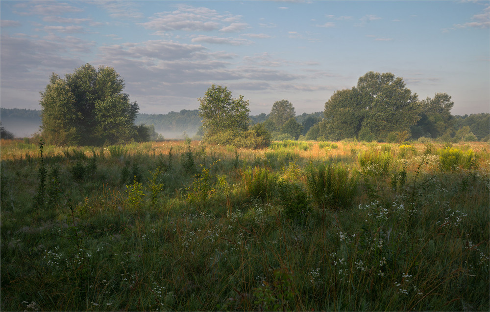 Фотографія ... / Микола Шахманцір / photographers.ua