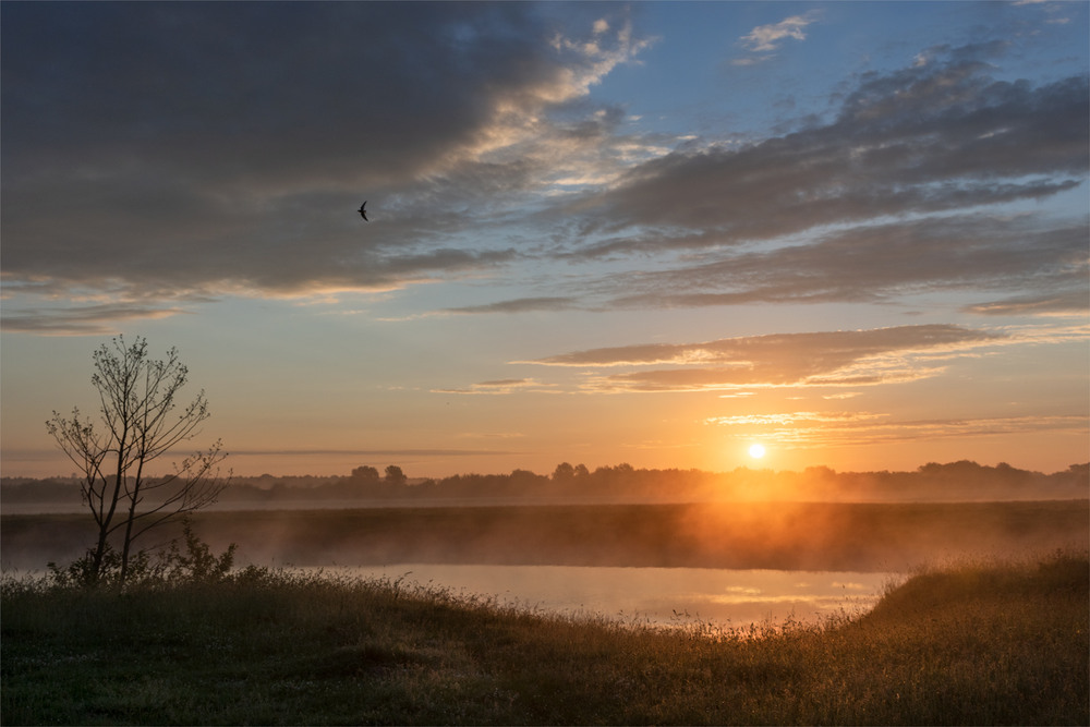 Фотографія *** / Микола Шахманцір / photographers.ua