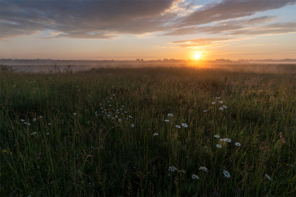 Фотографія назустріч літу... / Микола Шахманцір / photographers.ua