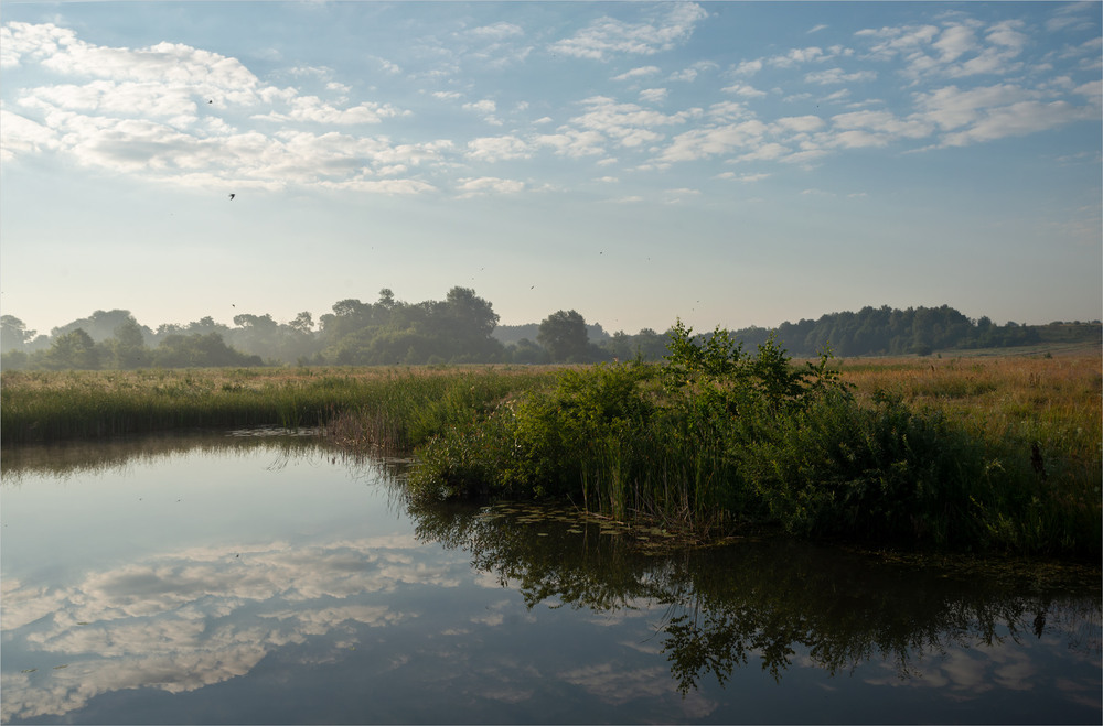 Фотографія ... / Микола Шахманцір / photographers.ua