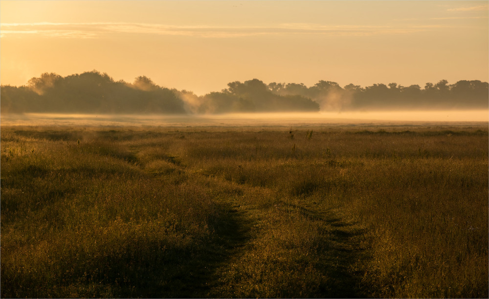 Фотографія в золоті світанку / Микола Шахманцір / photographers.ua