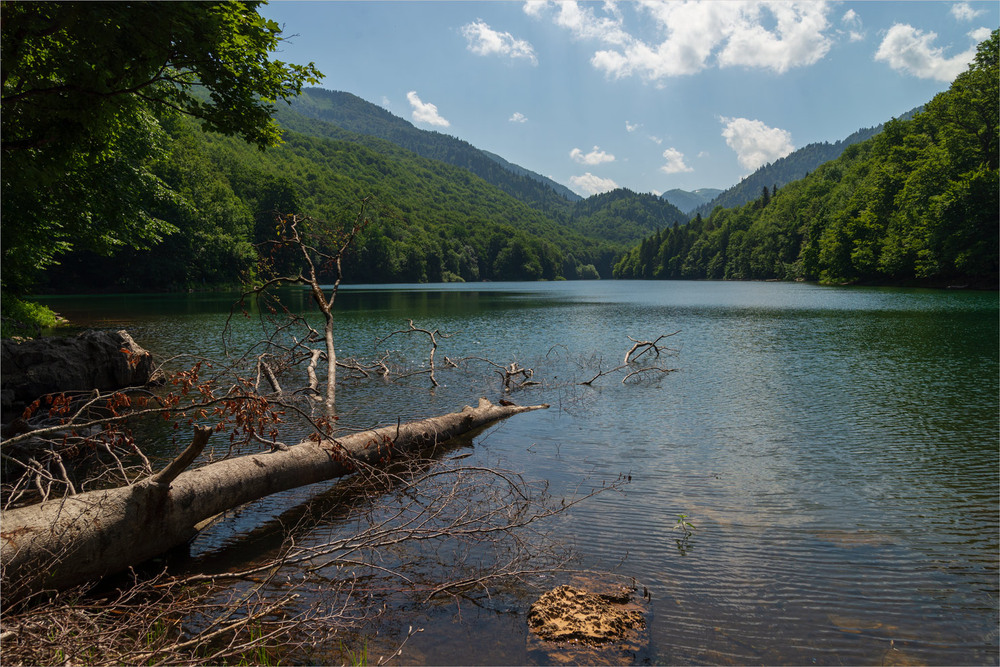 Фотографія 4 / Микола Шахманцір / photographers.ua