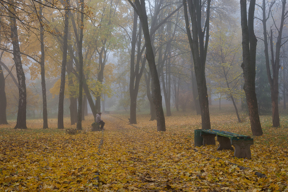 Фотографія в старому парку / Микола Шахманцір / photographers.ua