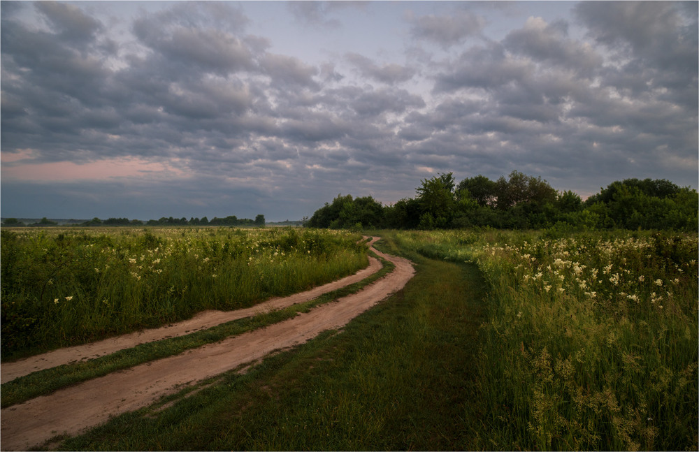 Фотографія * * * / Микола Шахманцір / photographers.ua