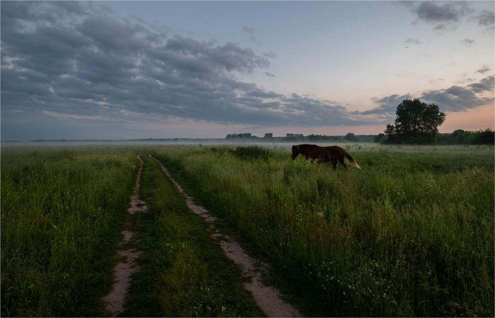 Фотографія * * * / Микола Шахманцір / photographers.ua