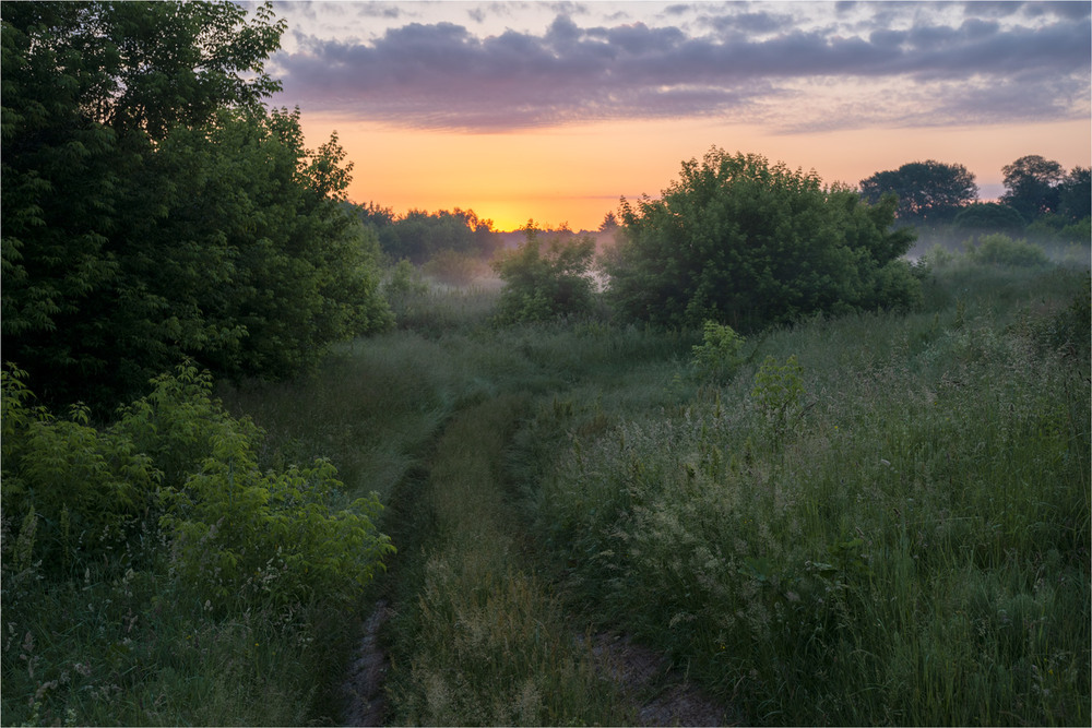 Фотографія * * * / Микола Шахманцір / photographers.ua