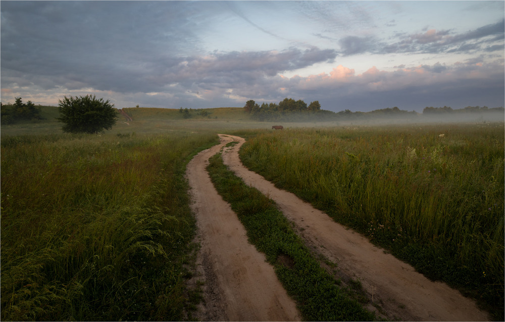 Фотографія * * * / Микола Шахманцір / photographers.ua