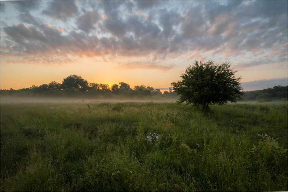 Фотографія * * * / Микола Шахманцір / photographers.ua