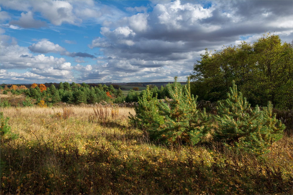 Фотографія Пейзаж / Микола Шахманцір / photographers.ua