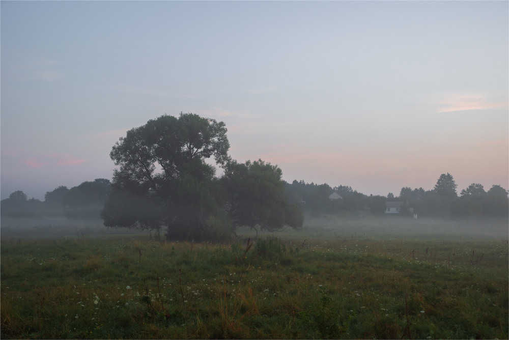 Фотографія ... / Микола Шахманцір / photographers.ua