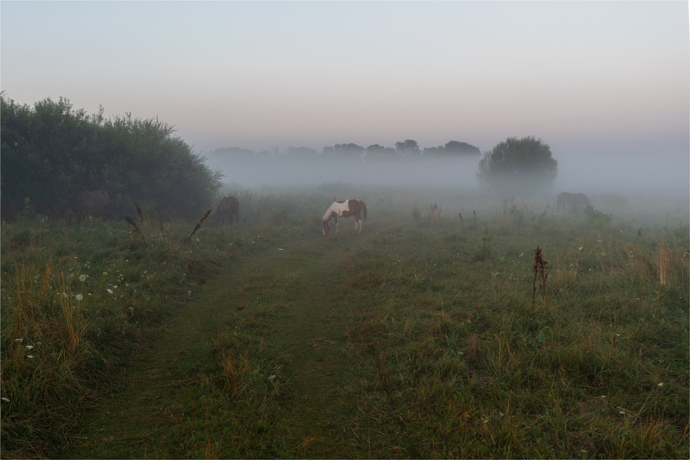 Фотографія ... / Микола Шахманцір / photographers.ua